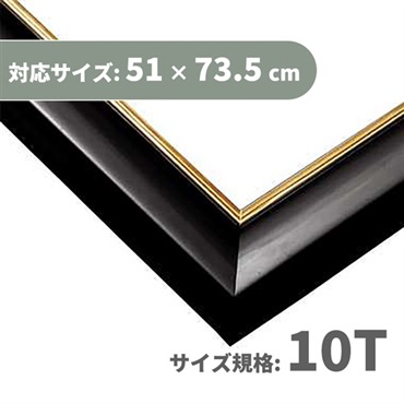パネル GLパネル 10T シャインブラ (対応サイズ:51×73.5cm)  4977389463169