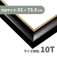パネル GLパネル 10T シャインブラ (対応サイズ:51×73.5cm)  4977389463169(4977389463169)