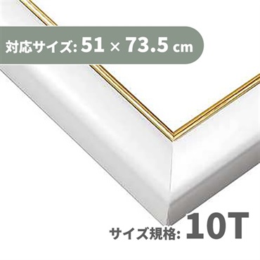 パネル GLパネル 10T シャインホワ (対応サイズ:51×73.5cm)  4977389465163