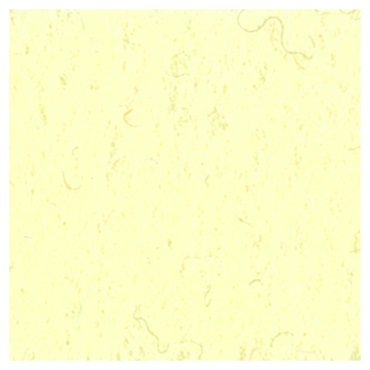 フェルト20×20cm(151/クリーム)