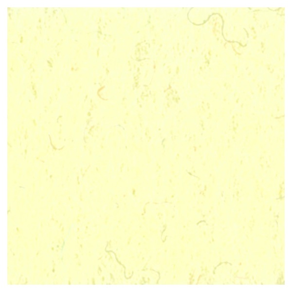 フェルト20×20cm(151/クリーム)