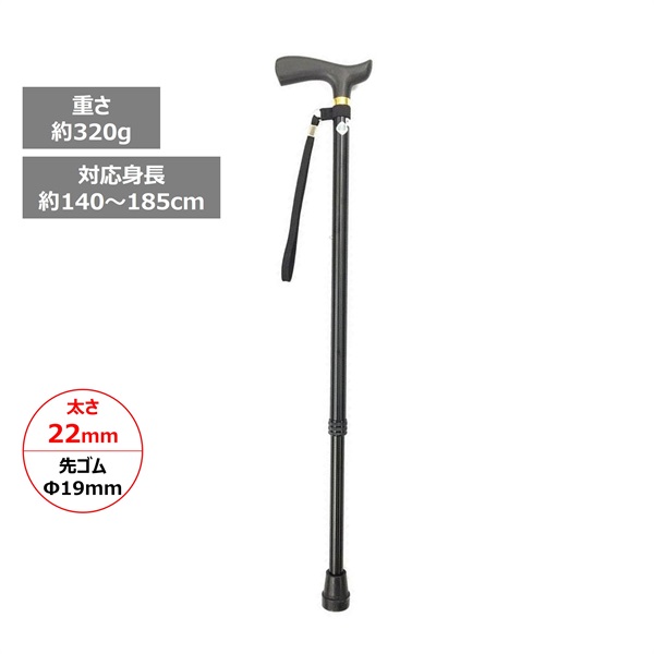 ステッキベーシックE 伸縮 フジホーム | イオンスタイルオンライン