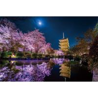 ジグソーパズル 月夜に咲く(京都) 1000ピース (完成サイズ:50×75cm)  4979817132999(4979817132999)