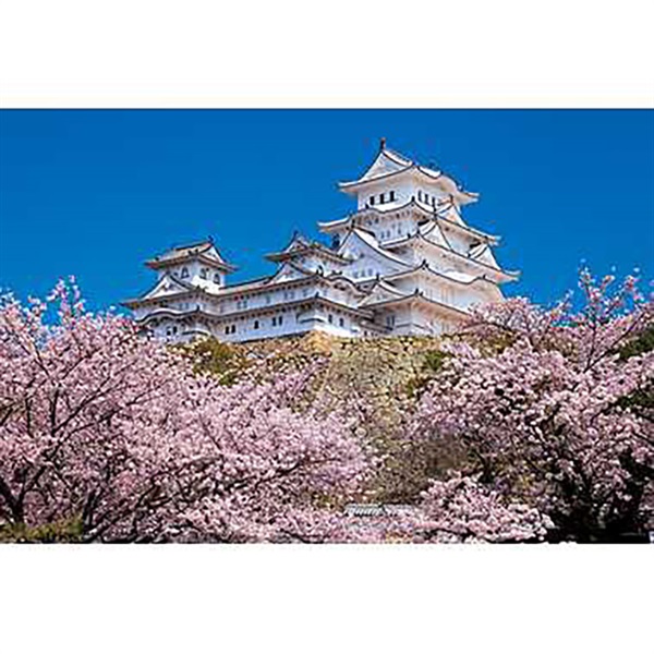 日本風景 1000 千の桜と姫路城 1000ピース (完成サイズ:75×50cm)  4979817134115(4979817134115)