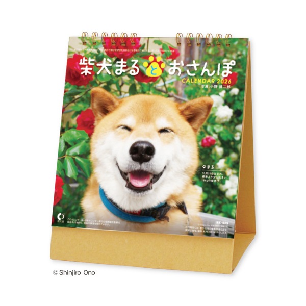 2026年】 卓上カレンダー 柴犬まるとおさんぽ | イオンスタイル