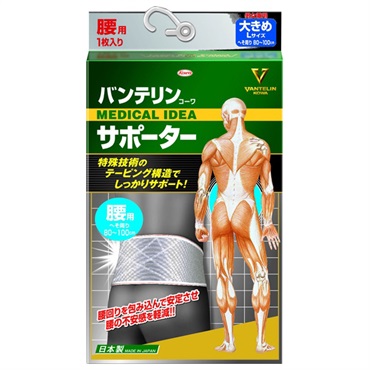 バンテリンコーワ サポーター 腰用 シャイニンググレー 大きめ 男女兼用・1枚入り バンテリンコーワ VANTERIN KOWA 興和