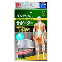 バンテリンコーワ サポーター 腰用 シャイニンググレー 大きめ 男女兼用・1枚入り バンテリンコーワ VANTERIN KOWA 興和(大きめ)