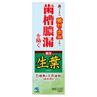 生葉 ra 100g 生葉 小林製薬 【医薬部外品】(100g)