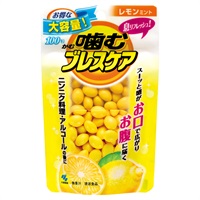 噛むブレスケア パウチ レモンミント 100粒 小林製薬(100粒)