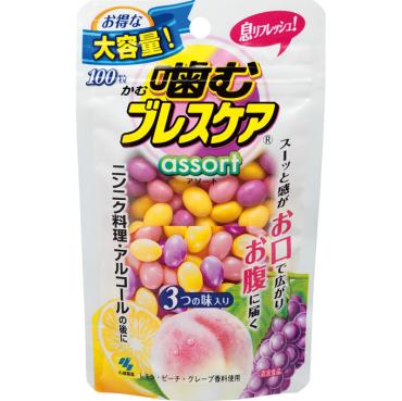 噛むブレスケア パウチアソート 100粒 ブレスケア 小林製薬