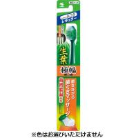 生葉 歯ブラシ 小林製薬(レギュラーふつう)