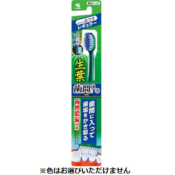 生葉 歯ブラシ 小林製薬(レギュラーふつう)