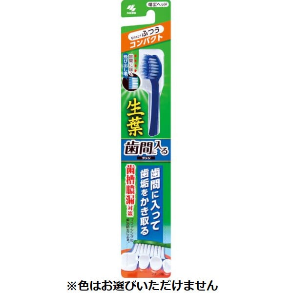 Pillow Talk ヤシの木柄♪ジャカード織りがとっても素敵なベッドカバーセット クイーン 210 × 210 cm 送料無料☆Pillow Talk トロピカルなヤシの葉柄がとってもフレッシュな