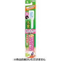生葉 歯ブラシ 小林製薬(コンパクトやわらかめ)