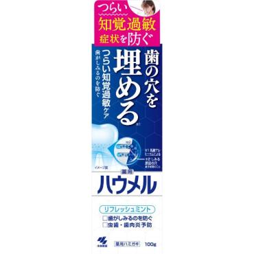ハウメル 100g ハウメル 小林製薬 【医薬部外品】