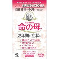 命の母 A 840錠 小林製薬 【第2類医薬品】(840錠)