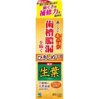 ひきしめ 生葉 100g 生葉 小林製薬 【医薬部外品】(4987072072752)