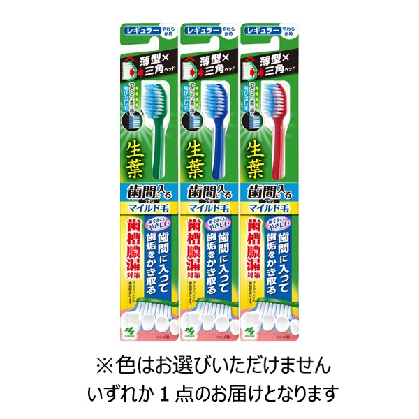 生葉 歯間に入るブラシ マイルド毛 レギュラー 1本 小林製薬(1本)