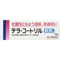 テラ・コートリル 軟膏 a 6g アリナミン製薬 【指定第2類医薬品 】