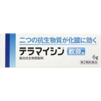 テラマイシン軟膏 6g テラマイシン軟膏a アリナミン製薬 【第2類医薬品】(6g)