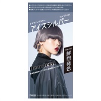 ビューティーン メイクアップカラー 1セット 1剤 40g / 2剤 88ml /直後用シャンプー12ml / 美容液5ml ビューティーン Beauteen ホーユー 【医薬部外品】(アイスシルバー)