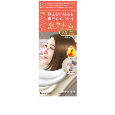 ビゲン 泡クリームカラー 1セット Bigen ホーユー 【医薬部外品】
