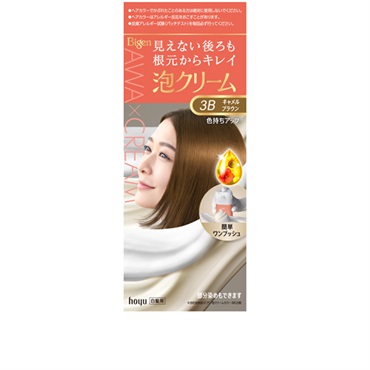 ビゲン 泡クリームカラー 1セット Bigen ホーユー 【医薬部外品】(3B/キャメルブラウン)