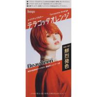 ビューティーン メイクアップカラー 40g+88ml ビューティーン Beauteen ホーユー 【医薬部外品】(テラコッタオレンジ)