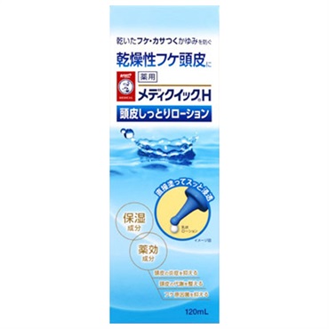 メンソレータム メディクイック H 頭皮しっとりローション 120ml メンソレータム ロート製薬 【医薬部外品】