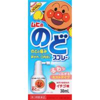 ムヒののどスプレー 池田模範堂 【第3類医薬品】(30ml)