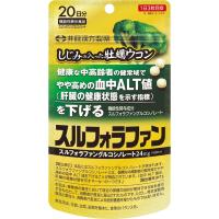 しじみの入った牡蠣ウコン スルフォラファン 60粒 井藤漢方製薬 【機能性表示食品】(20日分)