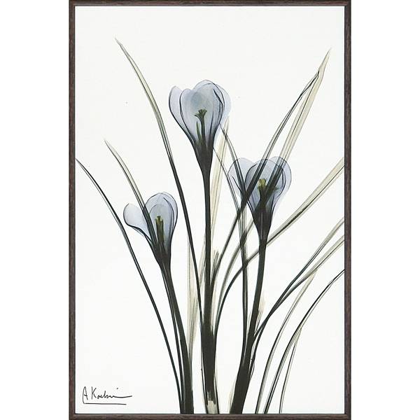 キャンパスアート X RAY キャンバスアート「クロッカス( | イオンスタイルオンライン