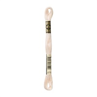 DMC 25番刺繍糸(3770)