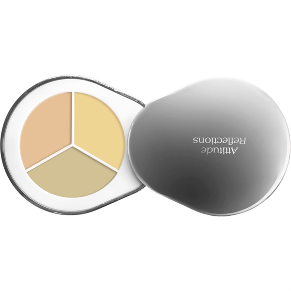 reiパレットコンシーラー 3色セットとワンセット reiパレットコンシーラー 3色セットとワンセット reiパレット