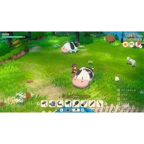 Nintendo Switch - switchソフト　ポケモン　ソード　パール　牧場物語 牧場 | My Nintendo Store（マイニンテンドーストア）