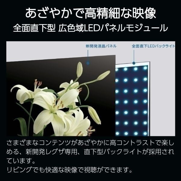 REGZA 55型4K液晶テレビ55M550M＋壁寄せテレビスタンド／WS-BL【標準配