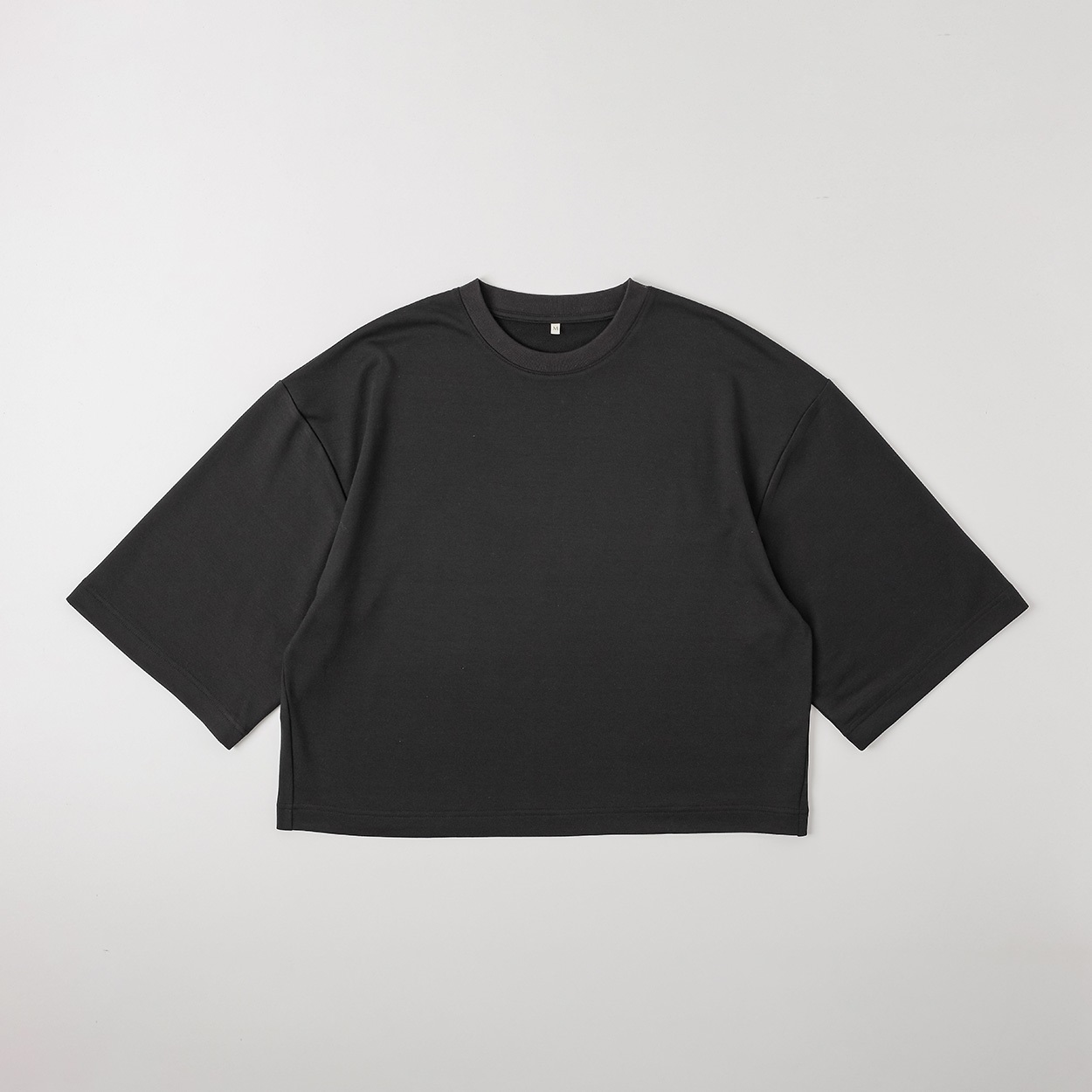 TVC(ティーヴィシー) ミニ裏毛ボックスTシャツ レディス | イオン