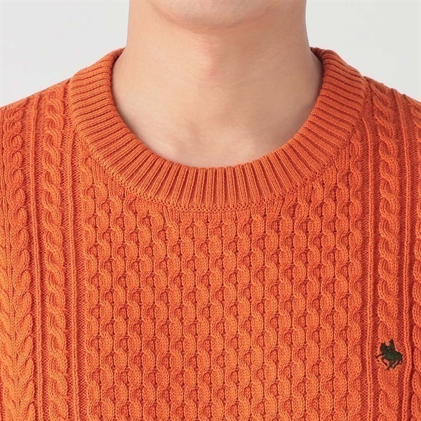 POLO BCS フィッシャーマンセーター メンズ | イオンスタイル