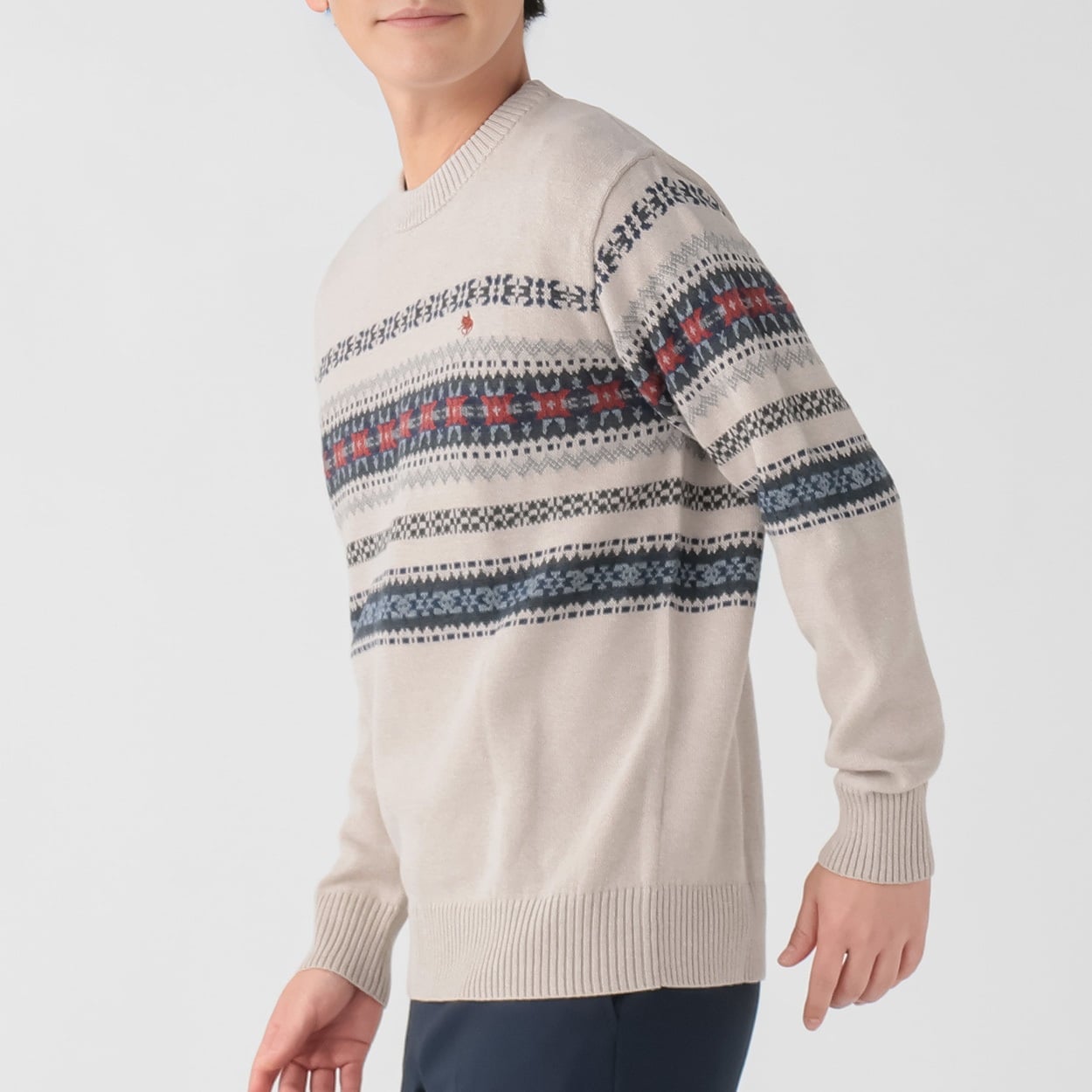 POLO BRITISH COUNTRY SPIRIT(ポロ・ビーシーエス) POLO BCS パネル