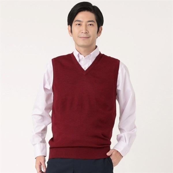 トップバリュ(TOPVALU) Vベスト メンズ | イオンスタイルオンライン