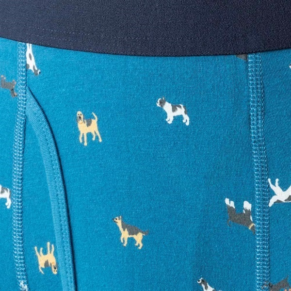 普通丈イヌ柄プリントボクサーブリーフ(前あき） メンズ | イオン