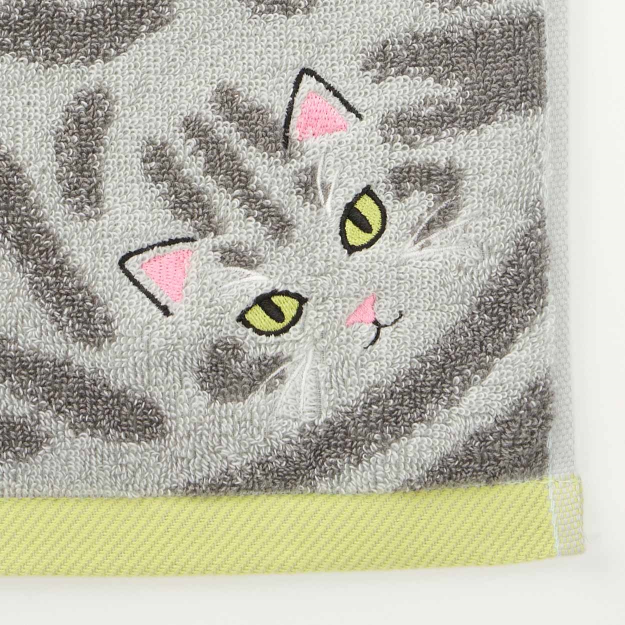 にゃんこ毛並みタオルギフト | イオンスタイルオンライン 衣料品