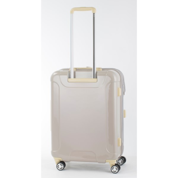 sachi様専用 ダッフィー キャリーケースとダッフィーバックの2点セット