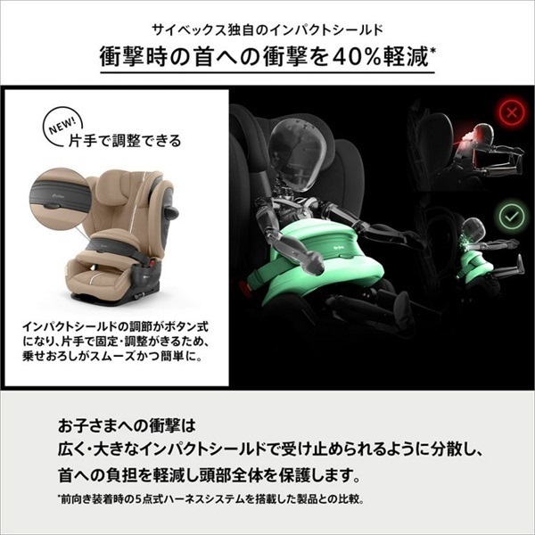 おしゃくれ INFINIMAT用バラスト 無限ピュア船 落し込みLimited - gokuspe