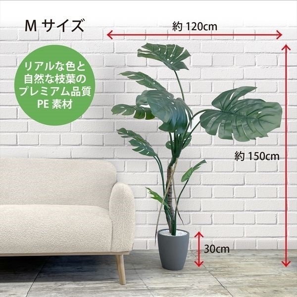 フェイクグリーン モンステラ | イオンスタイルオンライン 衣料品
