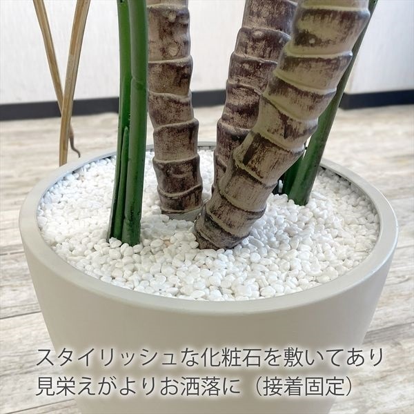 フェイクグリーン モンステラ | イオンスタイルオンライン 衣料品