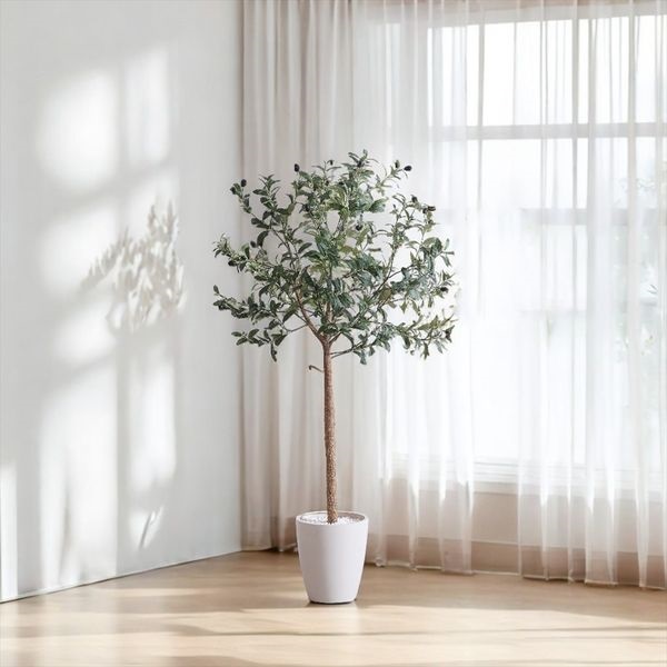 フェイクグリーン オリーブ | イオンスタイルオンライン 衣料品