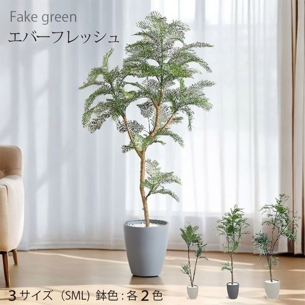 光触媒　人工観葉植物　ウォールグリーン　フェイクグリーン　エバーフレッシュ12w Amazon.co.jp: 光触媒 人工観葉植物 ウォールグリーン フェイク