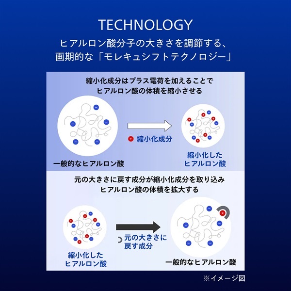 SHISEIDO ビオパフォーマンス スキンフィラー | イオンスタイル