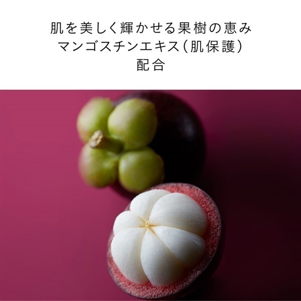クレ・ド・ポー ボーテ メイク落としキット 2024a（ランジェット